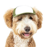 Blank Foam | Trucker Hat for Dogs