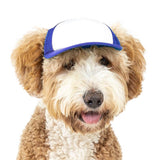 Blank Foam | Trucker Hat for Dogs