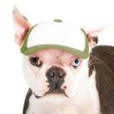 Blank Foam | Trucker Hat for Dogs