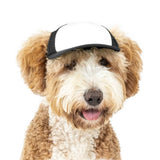 Blank Foam | Trucker Hat for Dogs