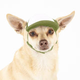 Blank Foam | Trucker Hat for Dogs