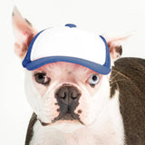 Blank Foam | Trucker Hat for Dogs