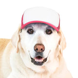 Blank Foam | Trucker Hat for Dogs