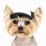Blank Foam | Trucker Hat for Dogs