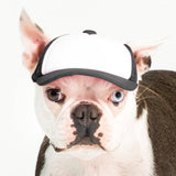 Blank Foam | Trucker Hat for Dogs