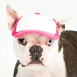 Blank Foam | Trucker Hat for Dogs