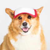Blank Foam | Trucker Hat for Dogs