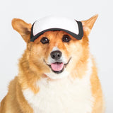 Blank Foam | Trucker Hat for Dogs