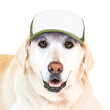 Blank Foam | Trucker Hat for Dogs