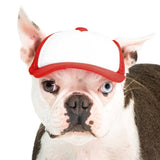 Blank Foam | Trucker Hat for Dogs
