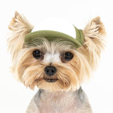 Blank Foam | Trucker Hat for Dogs