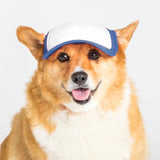 Blank Foam | Trucker Hat for Dogs