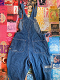 Revolt Rainbow Overalls