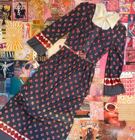 Ladybug Skirt And Blouse Set