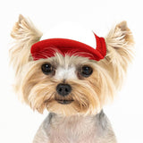 Blank Foam | Trucker Hat for Dogs