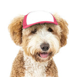 Blank Foam | Trucker Hat for Dogs