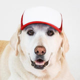 Blank Foam | Trucker Hat for Dogs