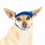 Blank Foam | Trucker Hat for Dogs