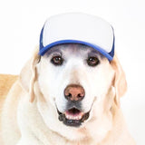 Blank Foam | Trucker Hat for Dogs